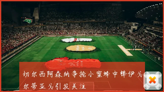 切尔西阿森纳争抢小蜜蜂中锋伊戈尔蒂亚戈引发关注