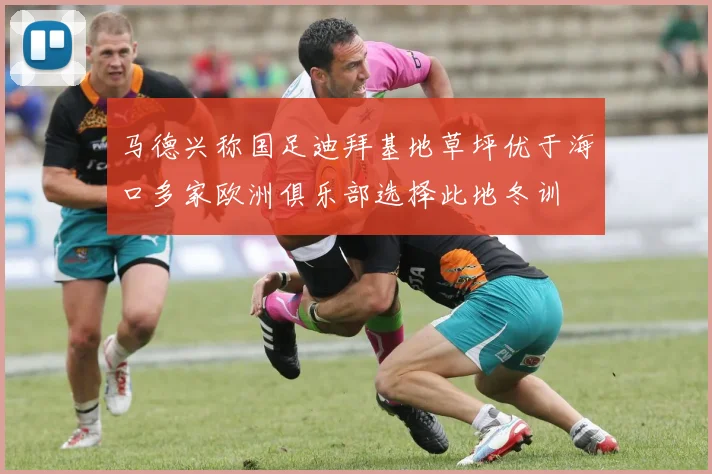 马德兴称国足迪拜基地草坪优于海口多家欧洲俱乐部选择此地冬训